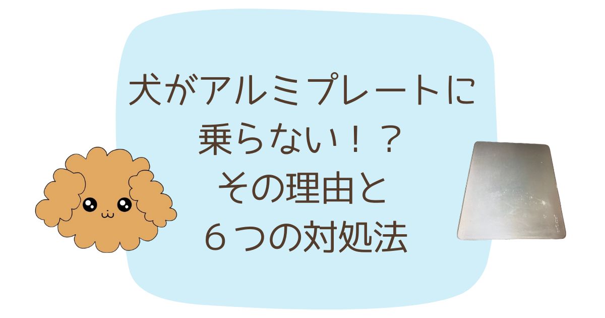 犬　アルミプレート　乗らない